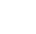 f1_i31.png